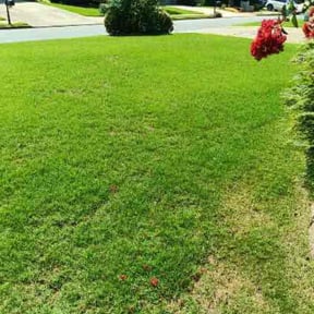 residential landscaping by Loop&#039;s Landscaping reviewed on November 23, 2025