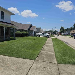 yard care by Any Srervices Pro reviewed on August 16, 2025