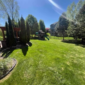 gardening service by Dave's handyman services reviewed on August 13, 2025