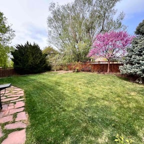 residential landscaping by Get it done handyman service and custom design llc reviewed on August 21, 2025