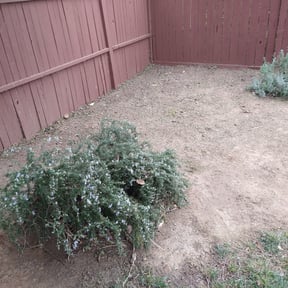 Leaf Removal by Hometeam Property Management reviewed on September 14, 2025