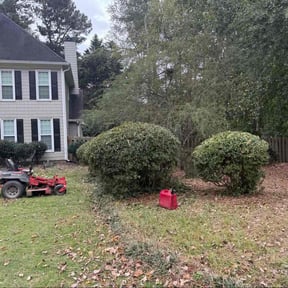 Bush Trimming by Jones&#039; Lawn Care reviewed on October 18, 2025
