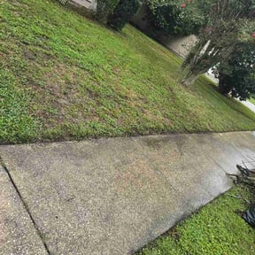 Bush Trimming by Tre-B Landscaping Inc reviewed on August 6, 2026
