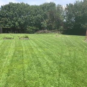 turf maintenance by Madison & Theresa Heavenly 3n1 reviewed on March 27, 2024