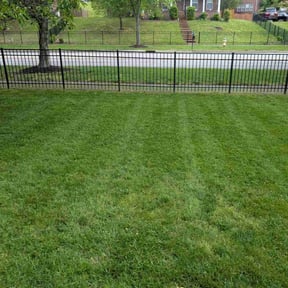 gardening service by First Choice Lawn &amp; Landscape reviewed on October 23, 2025