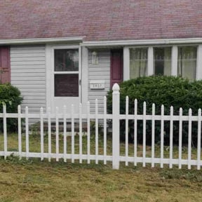 Bush Trimming by David Peters reviewed on November 9, 2025