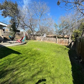 yard care by Bear Down Lawn & Landscape reviewed on August 21, 2025