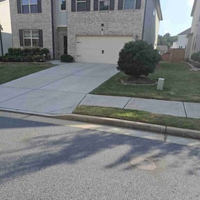 residential landscaping by Orlando Palms reviewed on August 18, 2025