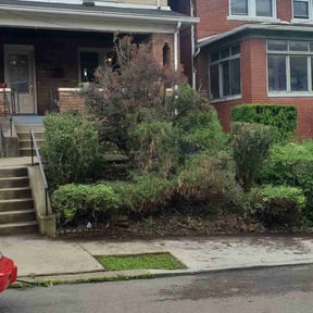 Bush Trimming by GreenSouth Maintenance reviewed on August 20, 2025