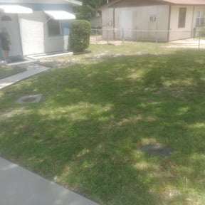 Bush Trimming by Lawns by leo reviewed on August 17, 2025