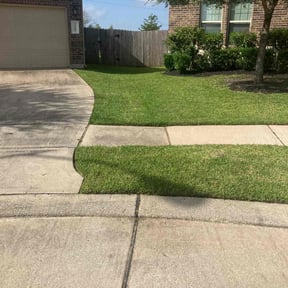 landscaping by Alonso Landscape & Trim reviewed on August 17, 2025