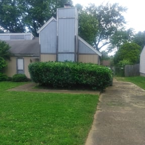 Bush Trimming by Lasting Impressions Lawn Care reviewed on August 21, 2025