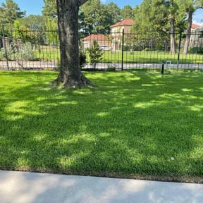 landscaping by Delgado landscaping reviewed on August 20, 2025