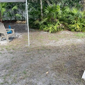 Leaf Removal by Type A Lawn Guy reviewed on September 23, 2025