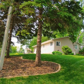 residential landscaping by Divine Lawn Care reviewed on August 16, 2025