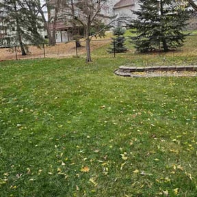 Leaf Removal by Green Tech Integrated Services Inc. reviewed on November 23, 2025