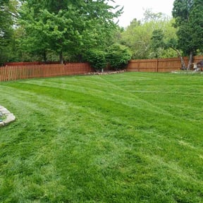 yard work by Green City Landscaping Co LLC reviewed on August 18, 2025