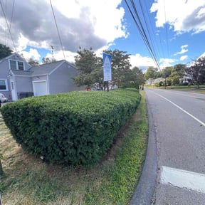 Bush Trimming by DCP Lawn Care LLC reviewed on October 18, 2025