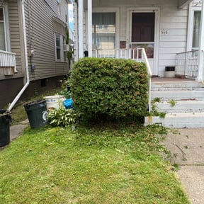 Bush Trimming by GC Lawn Care & Landscaping Services reviewed on August 16, 2025