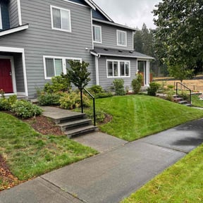 yard care by Lawn Shark reviewed on August 19, 2025