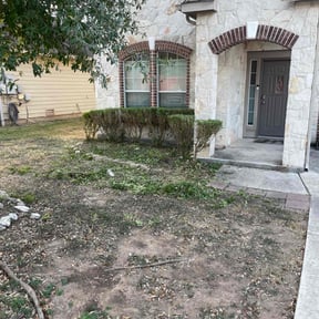 Bush Trimming by GrassMate Lawn Care reviewed on November 19, 2025