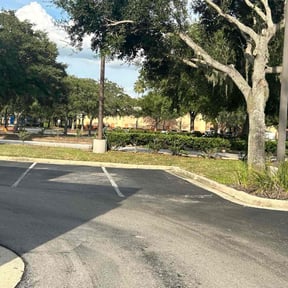 Bush Trimming by Schneider Lawn Care reviewed on October 18, 2025