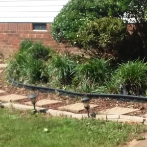 Bush Trimming by HRC lawncare reviewed on August 21, 2025
