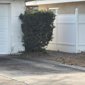 Bush Trimming by Ortiz Landscaping reviewed on March 31, 2024