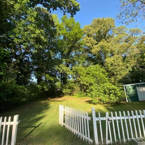 yard care by Loza Lawn & Home Services reviewed on August 15, 2025