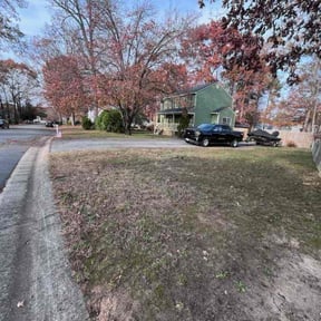 Leaf Removal by JG Main Landscaping LLC reviewed on November 19, 2025