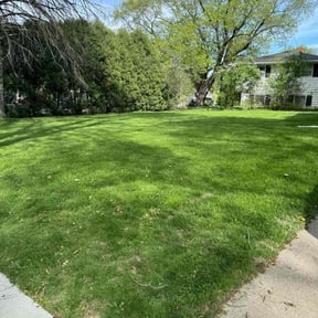 yard work by Green Earth Lawn and snow LLC reviewed on August 18, 2025