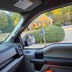 Bush Trimming by Good Guys reviewed on November 4, 2025