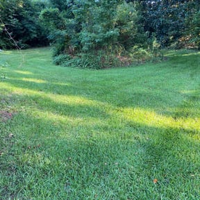 landscaping by Cohen Lawn & Landscaping reviewed on August 16, 2025