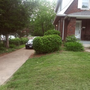 Bush Trimming by Victoria Landscaping, LLc reviewed on August 17, 2025