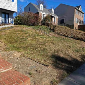 Leaf Removal by Quality Lawn Care reviewed on October 20, 2025