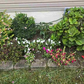 Flower Bed Weeding by Gregory&#039;s Affordable Landscaping &amp; More reviewed on November 4, 2025