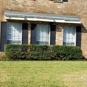 Bush Trimming by Trendy Lawn Care LLC reviewed on August 19, 2025