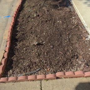 Flower Bed Weeding by MrGoGiver Property Maintenance & Restoration Solutions reviewed on August 19, 2025