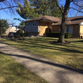 Leaf Removal by Gators Cut and Blow (G.C & B) reviewed on September 15, 2025