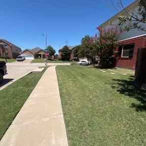 yard maintenance by DC Landscaping reviewed on August 16, 2025