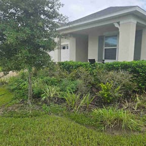 Bush Trimming by SunState Lawn &amp; Property Solutions LLC reviewed on September 13, 2026