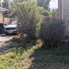 Bush Trimming by Sosa lawn care reviewed on August 17, 2025