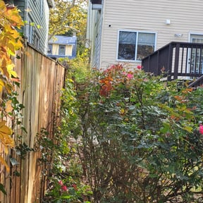 Bush Trimming by Integrity Lawn Care reviewed on August 17, 2025