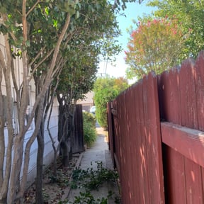 Bush Trimming by H1 Professional Lawn Service reviewed on August 21, 2025