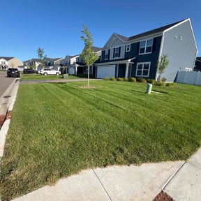 landscaping services by Twin Cities Total Yard Care reviewed on July 21, 2025