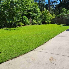 yard service by Grass King reviewed on November 19, 2025