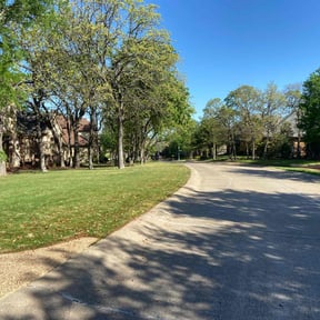 yard care by Medellin Landscaping reviewed on August 20, 2025