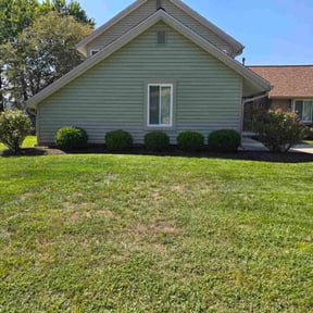 Bush Trimming by King Family Acquisition &amp; Management reviewed on October 23, 2025