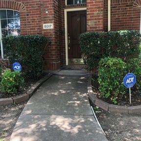 Bush Trimming by Stephen Reynolds reviewed on August 16, 2025