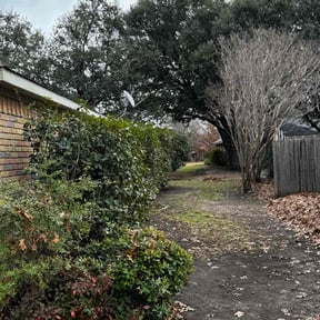 Leaf Removal by Jus Biznizz Landscaping LLC reviewed on April 27, 2024